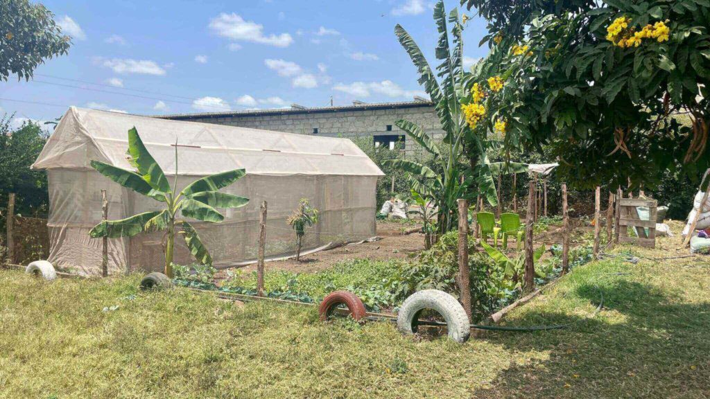 Our organic garden and greenhouse
