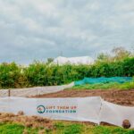 whatsapp image 2023 11 15 at 9.23.10 am