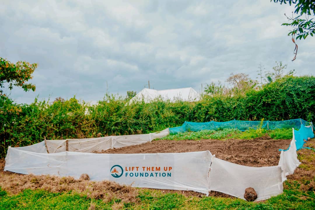 Organic Garden And Farming whatsapp image 2023 11 15 at 9.23.10 am